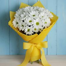 Букет цветов из:  Хризантемы в Фирово