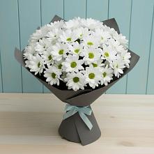 Букет цветов из:  Хризантемы #REPLACE_PRED# Фирово
