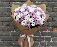 Букет цветов из:  Хризантемы в Фирово