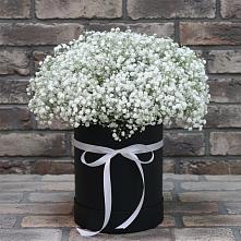 Цветочная композиция из Гипсофила в шляпной коробке #REPLACE_PRED# Фирово