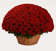 Премиум букет из: Розы в Фирово