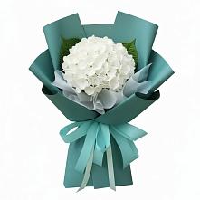 Букет цветов из:  Гортензия в Фирово